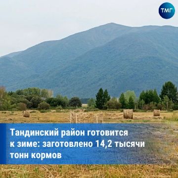В Тандинском районе заготовили более 14 тысяч тонн кормов