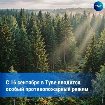 В Туве продлили особый противопожарный режим
