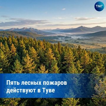 В Туве зафиксировали пять лесных пожаров