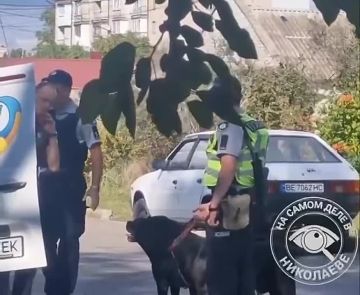 В Николаеве домашние питомцы едва не покалечили детей