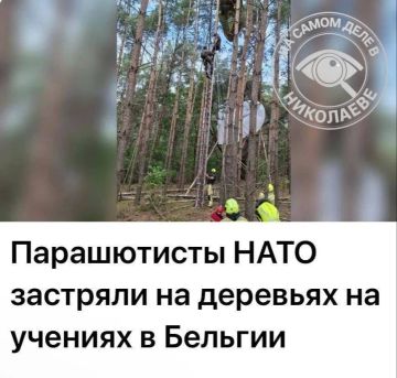 ����� ������� ����������� ����� � �� ������ � ���