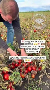 ���������� ������� ��� �� �����, ���� ������ ���������
