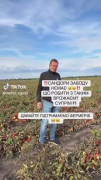������ ���� ����� �� �����: ���������� ������� �������� ��� ����� �������