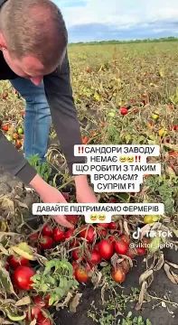 ��������� ������� ���������� �������� �� ���������