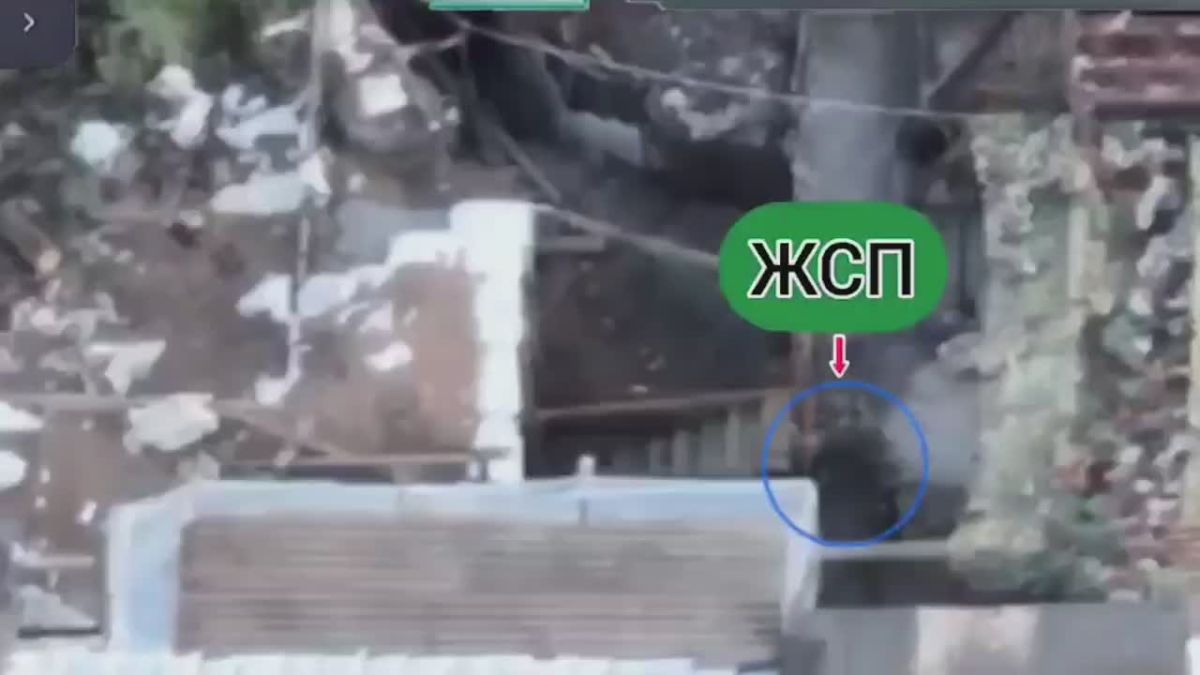 Евгений Поддубный: Артиллерийские подразделения "Южной" группировки войск во взаимодействии с операторами разведывательных БПЛА ведут прицельный огонь по позициям противника в Краматорском районе — под ударами оказываются...